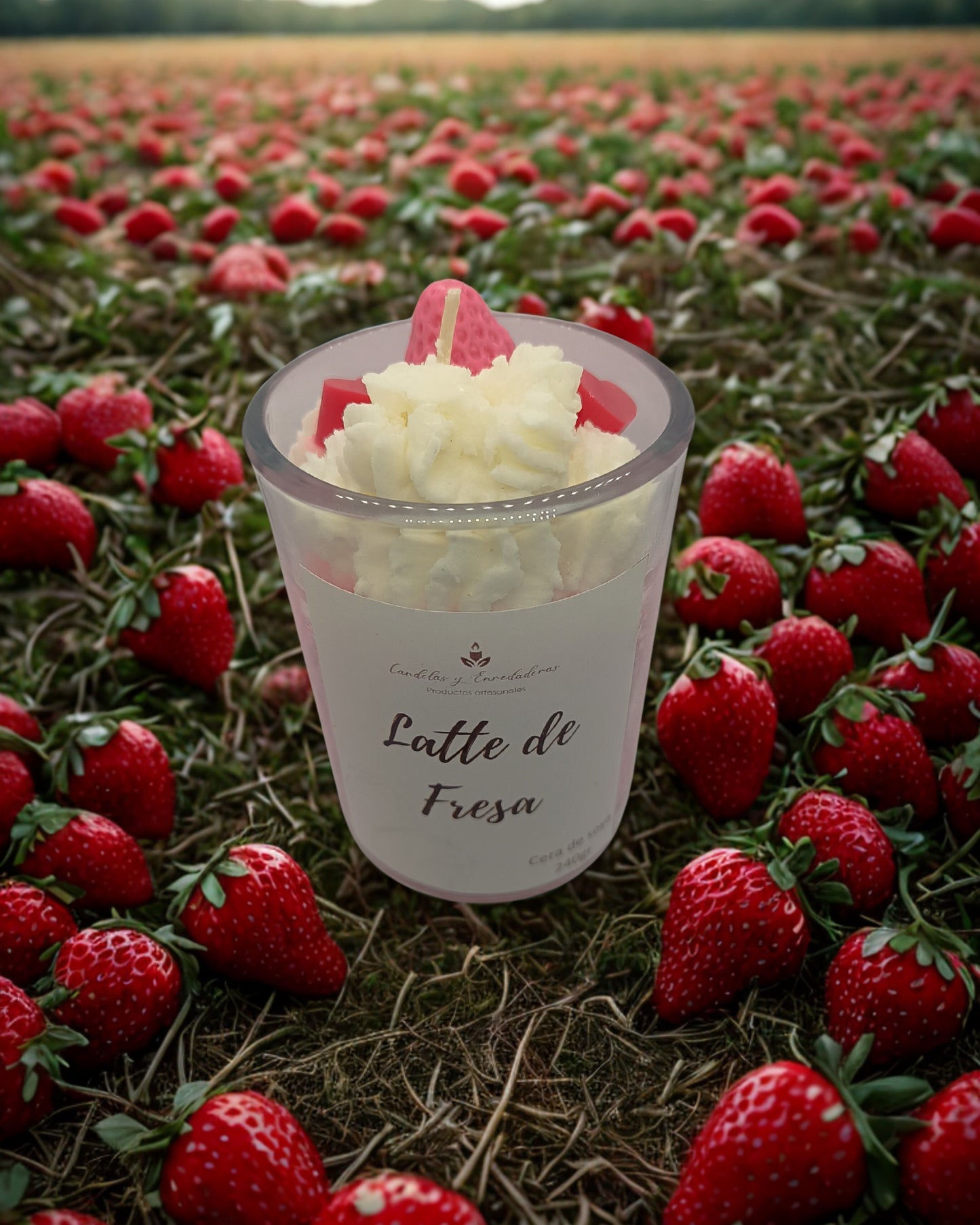 Latte de fresa